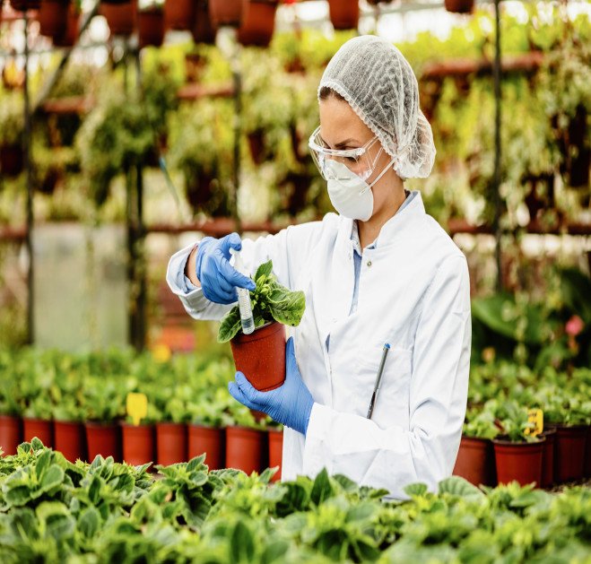 http://agropeakindia.com/wp-content/uploads/2024/03/female-scientist-with-syringe-taking-care-potted-plants-greenhouse1.jpg